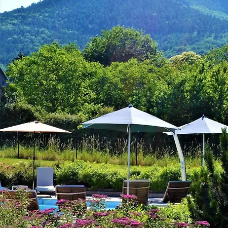 Hotel Aux Chants Des Oiseaux Ottrott