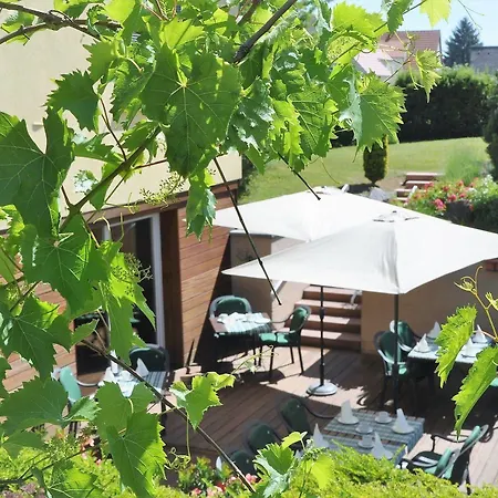 Aux Chants Des Oiseaux